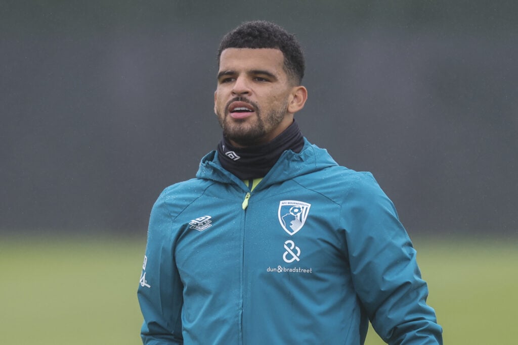 Which squad numbers Dominic Solanke could take at Tottenham